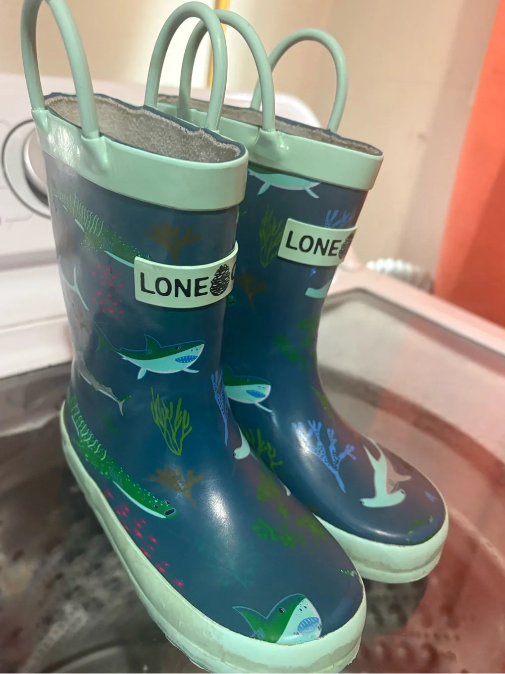 Lone Cone Rain Boots
